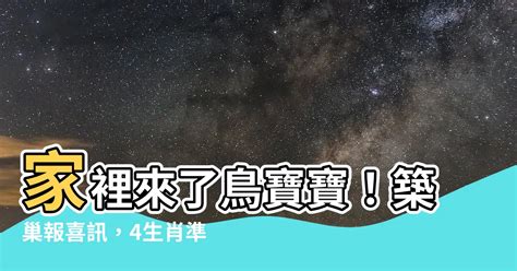 家裡鳥築巢|小鳥築巢風水秘訣